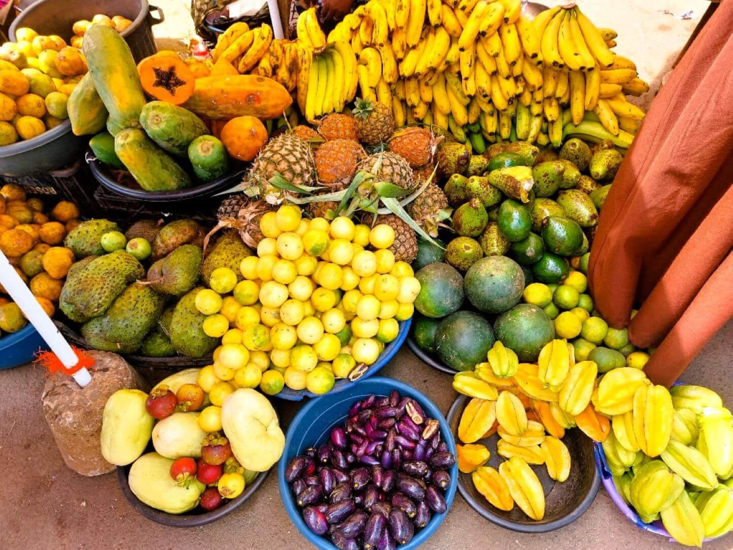Vista do Pico Cão Grande